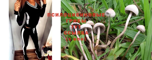 прущая мука Заволжье