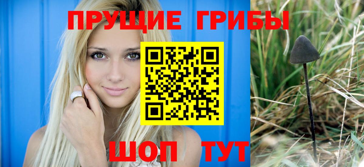 Галлюциногенные грибы MAGIC MUSHROOMS  где купить наркотик  Псилоцибиновые грибы ЛСД  Южноуральск  Вход с VPN 