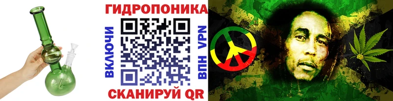 Бошки марихуана индика  omg вход  Южноуральск  как найти  